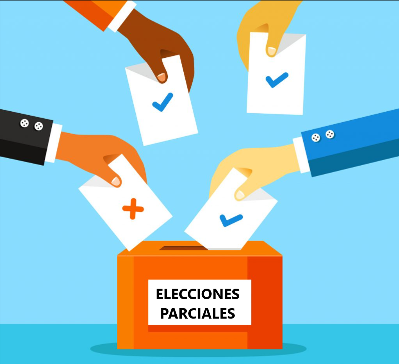 Elecciones Parciales 2025 Elecciones Parciales